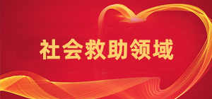 社会救助领域