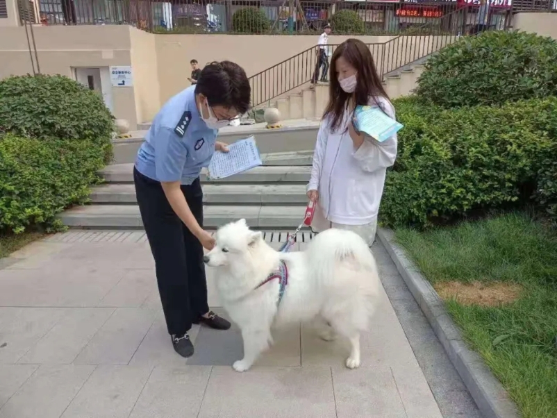 舜华路街道龙奥国际社区开展"爱宠日"文明养犬宣传活动